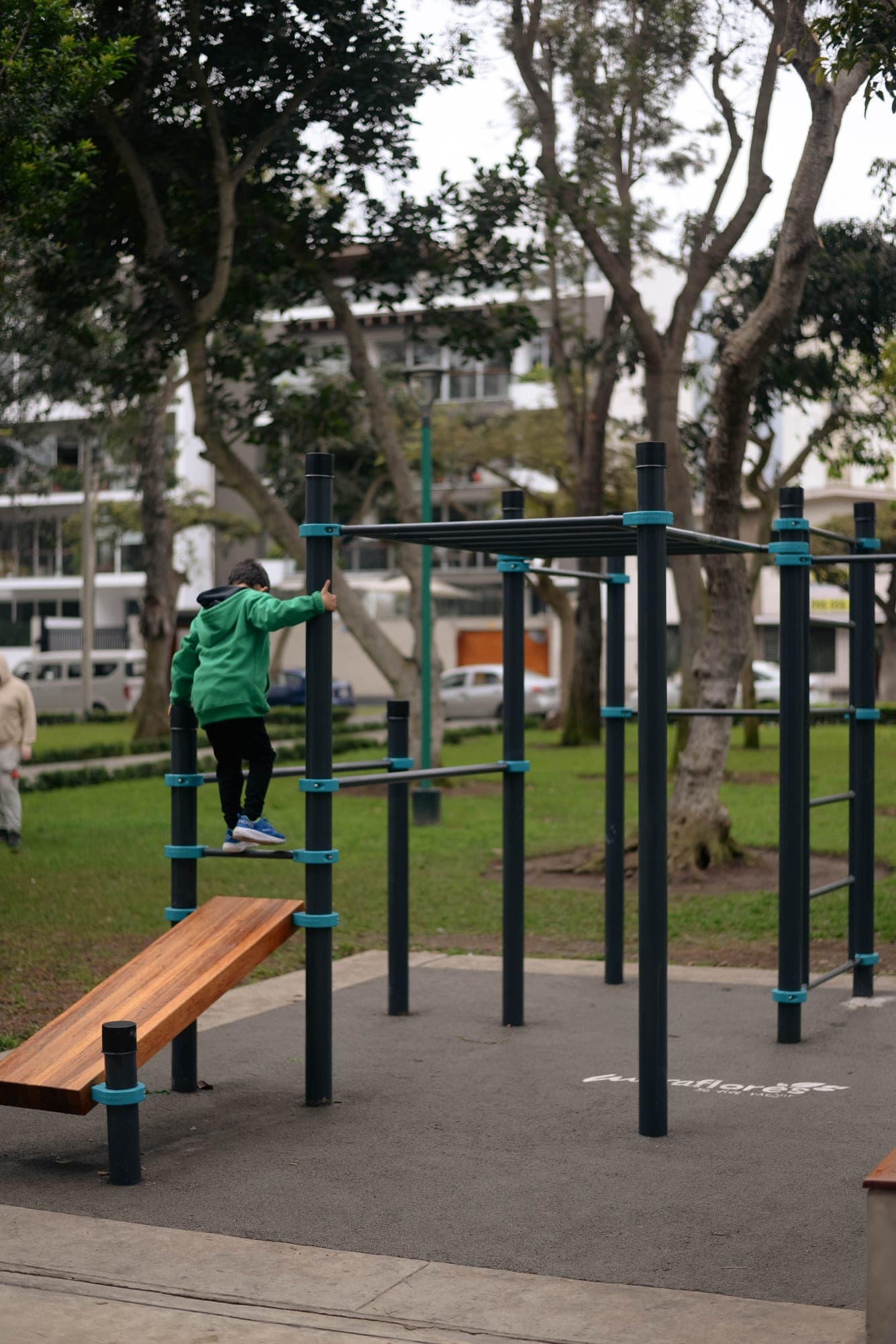 Niño trepando en el módulo de calistenia de un parque